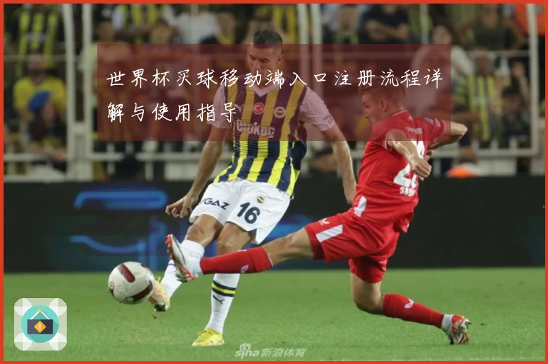 世界杯买球移动端入口注册流程详解与使用指导