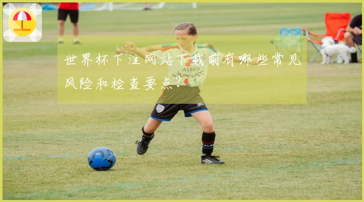 世界杯下注网站下载前有哪些常见风险和检查要点？