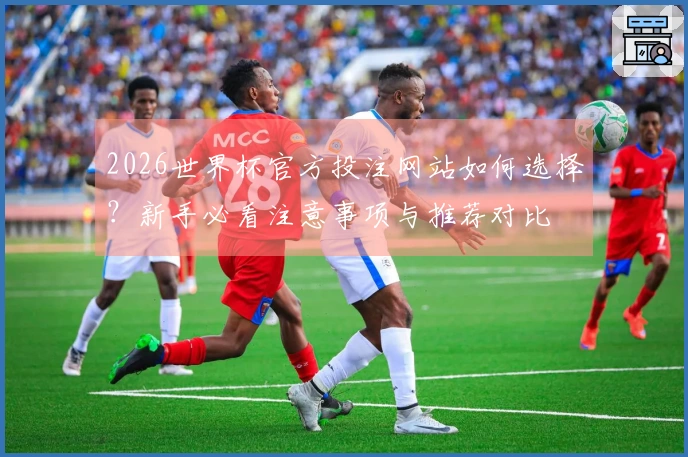 2026世界杯官方投注网站如何选择？新手必看注意事项与推荐对比