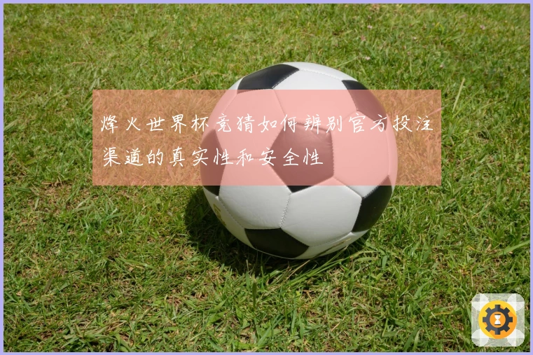 烽火世界杯竞猜如何辨别官方投注渠道的真实性和安全性