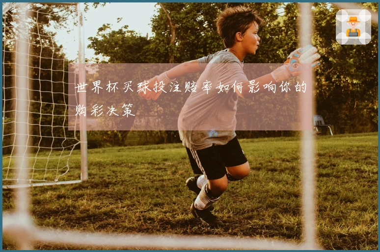 世界杯买球投注赔率如何影响你的购彩决策