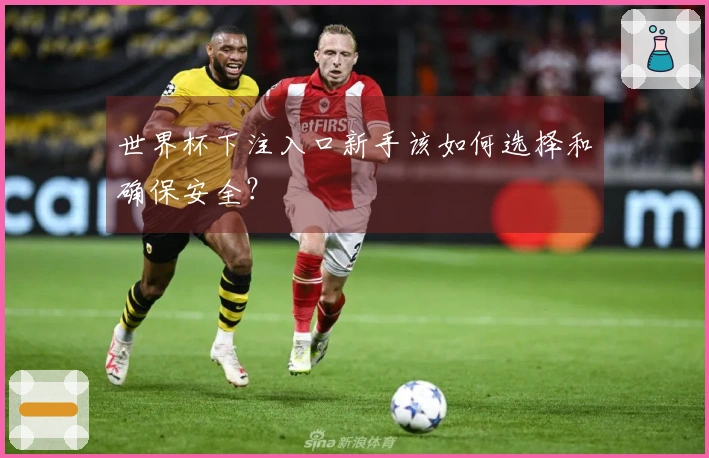 世界杯下注入口新手该如何选择和确保安全？