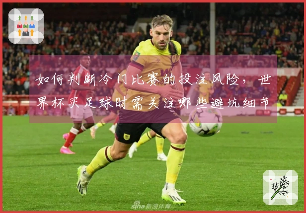 如何判断冷门比赛的投注风险，世界杯买足球时需关注哪些避坑细节