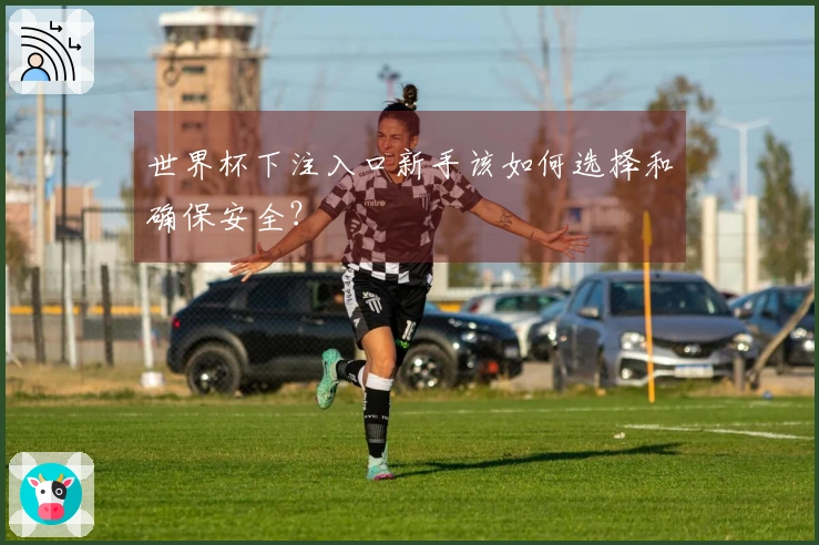 世界杯下注入口新手该如何选择和确保安全？