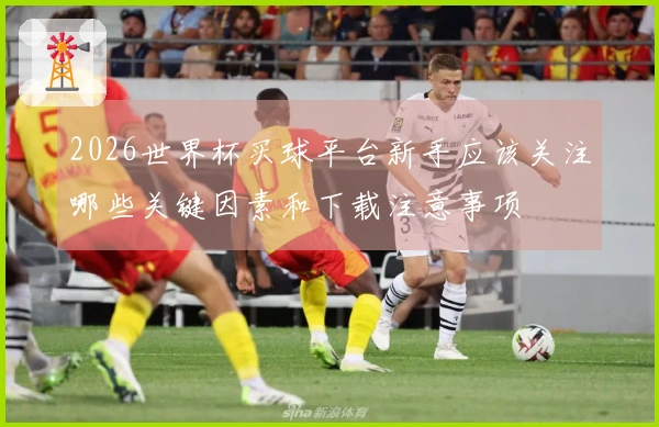 2026世界杯买球平台新手应该关注哪些关键因素和下载注意事项