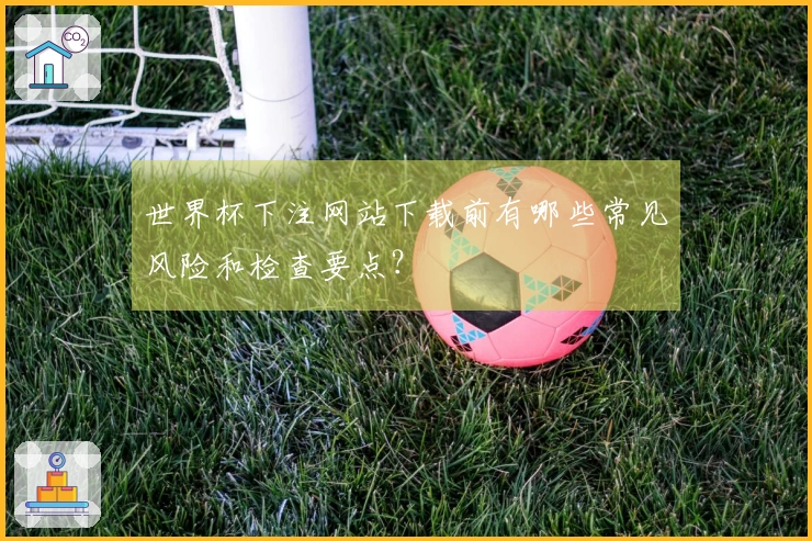 世界杯下注网站下载前有哪些常见风险和检查要点？