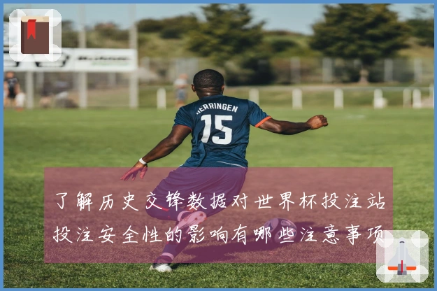 了解历史交锋数据对世界杯投注站投注安全性的影响有哪些注意事项